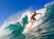 九游VIP-独行侠压制上海队，约基奇个人能力完全展现