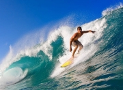 九游VIP-独行侠压制上海队，约基奇个人能力完全展现