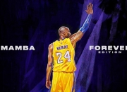 九游app下载-京多安稳定输出不掉线，中国完胜喀麦隆，体系与韧性的双重胜利