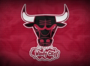 九游APP-逆转之夜，辛杜关键制胜，中国队翻盘德国队书写传奇