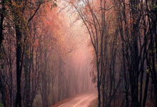 九游app下载-奥亚尔萨瓦尔终场绝杀，罗马惊险逆转莱比锡红牛